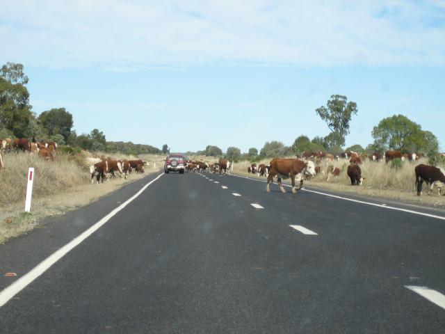 The road to New South Wales